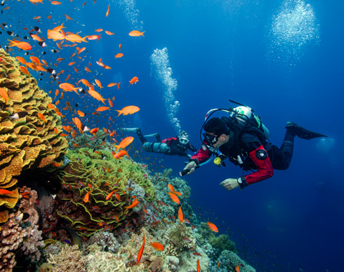 Advanced Open Water Diver + Nitrox course